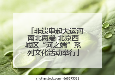 非遗串起大运河南北两端 北京西城区“河之端”系列文化活动举行