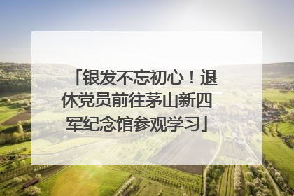 银发不忘初心！退休党员前往茅山新四军纪念馆参观学习
