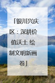 银川兴庆区：深耕价值沃土 绘制文明新画卷