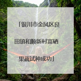 银川市金凤区良田镇和顺新村富硒果蔬试种成功