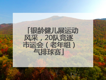 银龄健儿展运动风采，20队竞逐市运会（老年组）气排球赛
