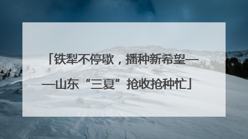 铁犁不停歇，播种新希望——山东“三夏”抢收抢种忙