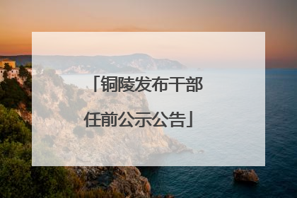 铜陵发布干部任前公示公告