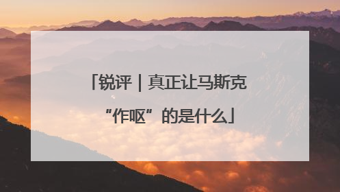 锐评｜真正让马斯克“作呕”的是什么