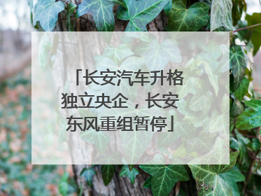 长安汽车升格独立央企，长安东风重组暂停