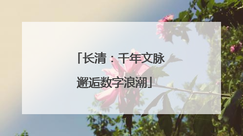 长清：千年文脉邂逅数字浪潮