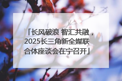 长风破浪 智汇共融，2025长三角新全媒联合体座谈会在宁召开