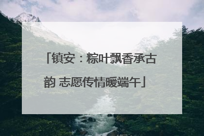 镇安：粽叶飘香承古韵 志愿传情暖端午