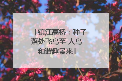 镇江高桥：种子落处飞鸟至 人鸟和谐趣景来