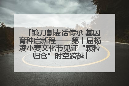 镰刀割麦话传承 基因育种启新程——第十届杨凌小麦文化节见证“颗粒归仓”时空跨越