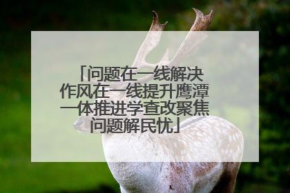 问题在一线解决 作风在一线提升鹰潭一体推进学查改聚焦问题解民忧