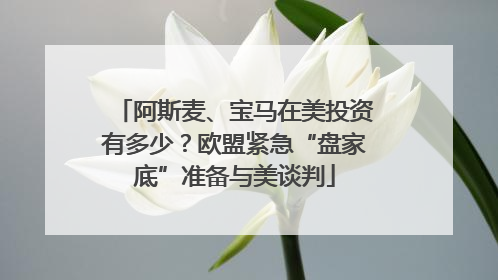 阿斯麦、宝马在美投资有多少？欧盟紧急“盘家底”准备与美谈判