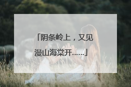 阴条岭上，又见漫山海棠开……