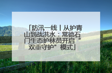 防汛一线丨从护青山到战洪水：常德石门生态护林员开启“双重守护”模式