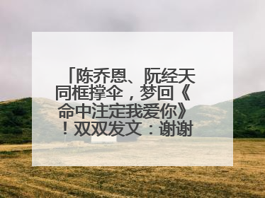 陈乔恩、阮经天同框撑伞，梦回《命中注定我爱你》！双双发文：谢谢我们都没变