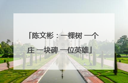 陈文彬：一棵树 一个庄 一块碑 一位英雄