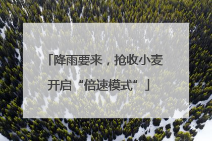 降雨要来，抢收小麦开启“倍速模式”