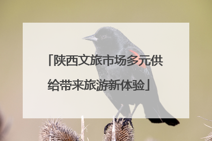 陕西文旅市场多元供给带来旅游新体验