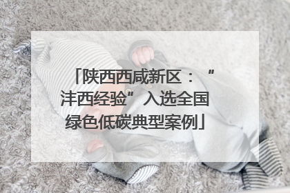 陕西西咸新区：“沣西经验”入选全国绿色低碳典型案例