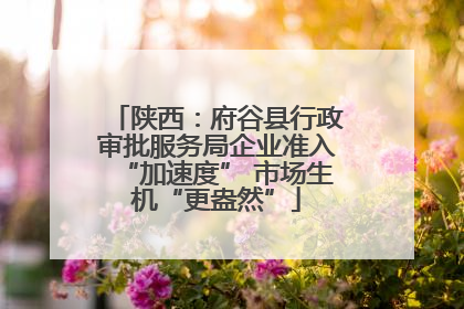 陕西：府谷县行政审批服务局企业准入“加速度” 市场生机“更盎然”