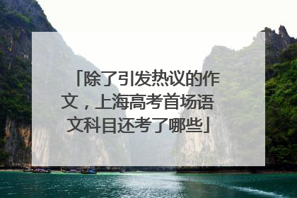 除了引发热议的作文，上海高考首场语文科目还考了哪些