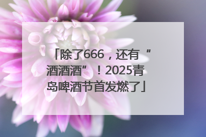除了666，还有“酒酒酒”！2025青岛啤酒节首发燃了