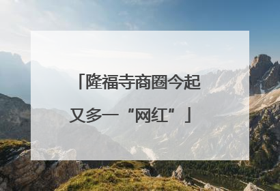 隆福寺商圈今起又多一“网红”