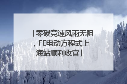 零碳竞速风雨无阻，FE电动方程式上海站顺利收官