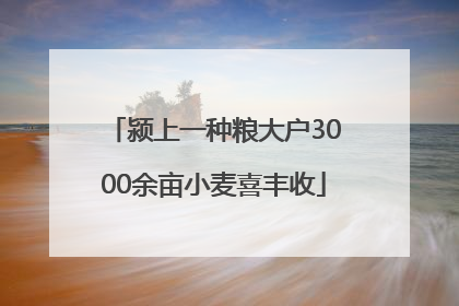 颍上一种粮大户3000余亩小麦喜丰收