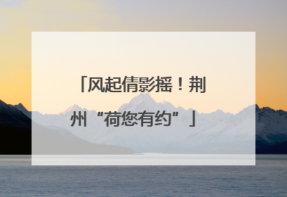 风起倩影摇！荆州“荷您有约”