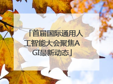 首届国际通用人工智能大会聚焦AGI最新动态