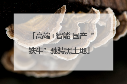 高端+智能 国产“铁牛”驰骋黑土地