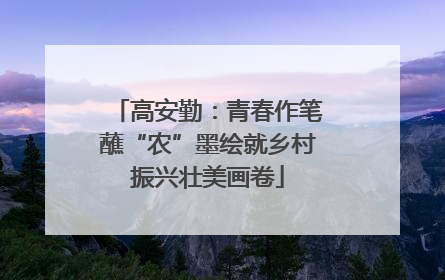 高安勤：青春作笔蘸“农”墨绘就乡村振兴壮美画卷