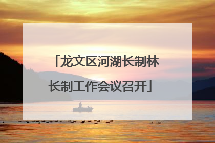 龙文区河湖长制林长制工作会议召开