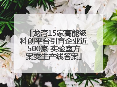 龙湾15家高能级科创平台引育企业近500家 实验室方案变生产线答案