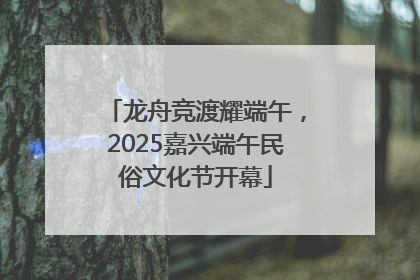 龙舟竞渡耀端午，2025嘉兴端午民俗文化节开幕