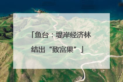 鱼台：堤岸经济林结出“致富果”