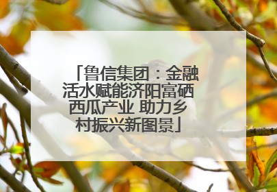 鲁信集团：金融活水赋能济阳富硒西瓜产业 助力乡村振兴新图景