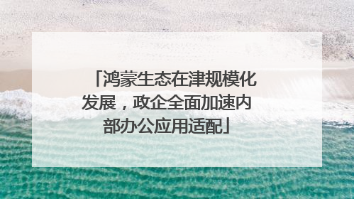 鸿蒙生态在津规模化发展，政企全面加速内部办公应用适配