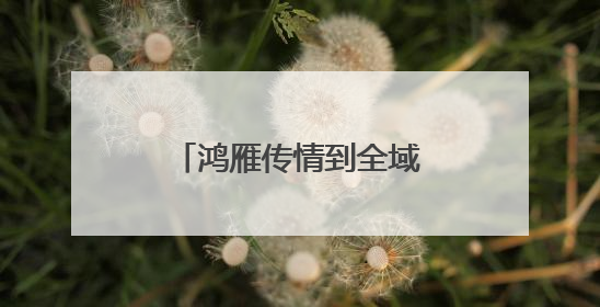 鸿雁传情到全域协作 甬库共绘民族团结新图景
