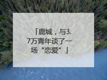 鹿城，与3.7万青年谈了一场“恋爱”