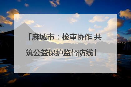 麻城市：检审协作 共筑公益保护监督防线