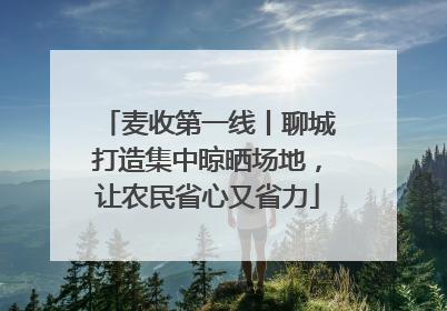 麦收第一线丨聊城打造集中晾晒场地，让农民省心又省力