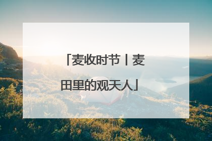 麦收时节丨麦田里的观天人