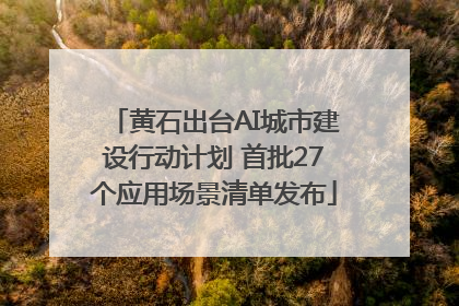 黄石出台AI城市建设行动计划 首批27个应用场景清单发布