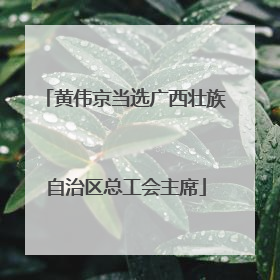 黄伟京当选广西壮族自治区总工会主席