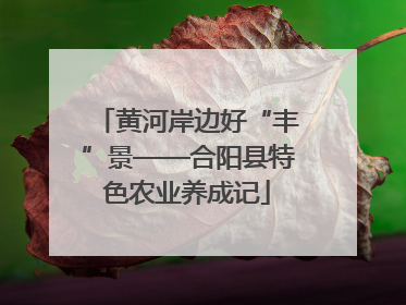 黄河岸边好“丰”景——合阳县特色农业养成记