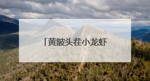 黄陂头茬小龙虾开炫，日供8000斤，快来尝鲜
