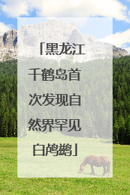 黑龙江千鹤岛首次发现自然界罕见白鸬鹚