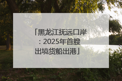 黑龙江抚远口岸：2025年首艘出境货船出港